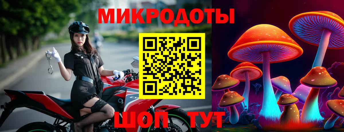 Биробиджан  Псилоцибиновые грибы Cubensis  Псилоцибиновые грибы Cubensis  Вход с VPN 